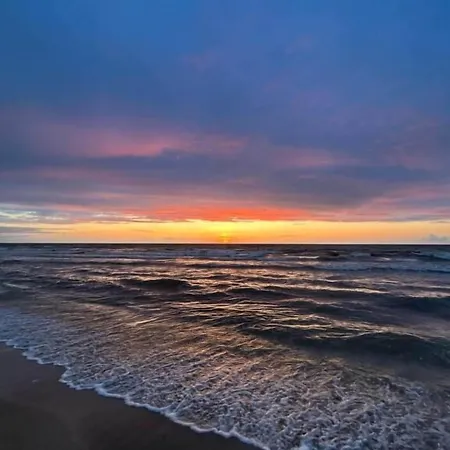 De La - Deauville - Boutique De Charme Vue Ou Campagne - Acces Direct Блонвиль-сюр-Мер